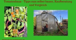 tomatenhaus test bild