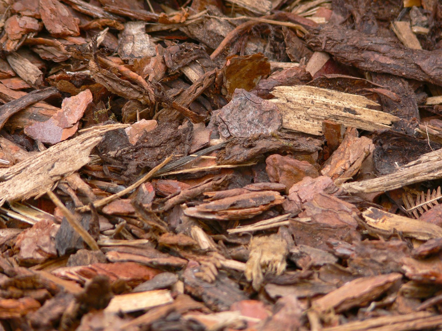 Rindenmulch Test 2025 Die besten 5 im Vergleich