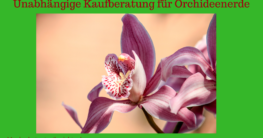 orchideenerde-test