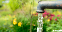 Wasserzapfsäulen Garten Test