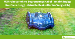 Rasenroboter ohne Begrenzungskabel