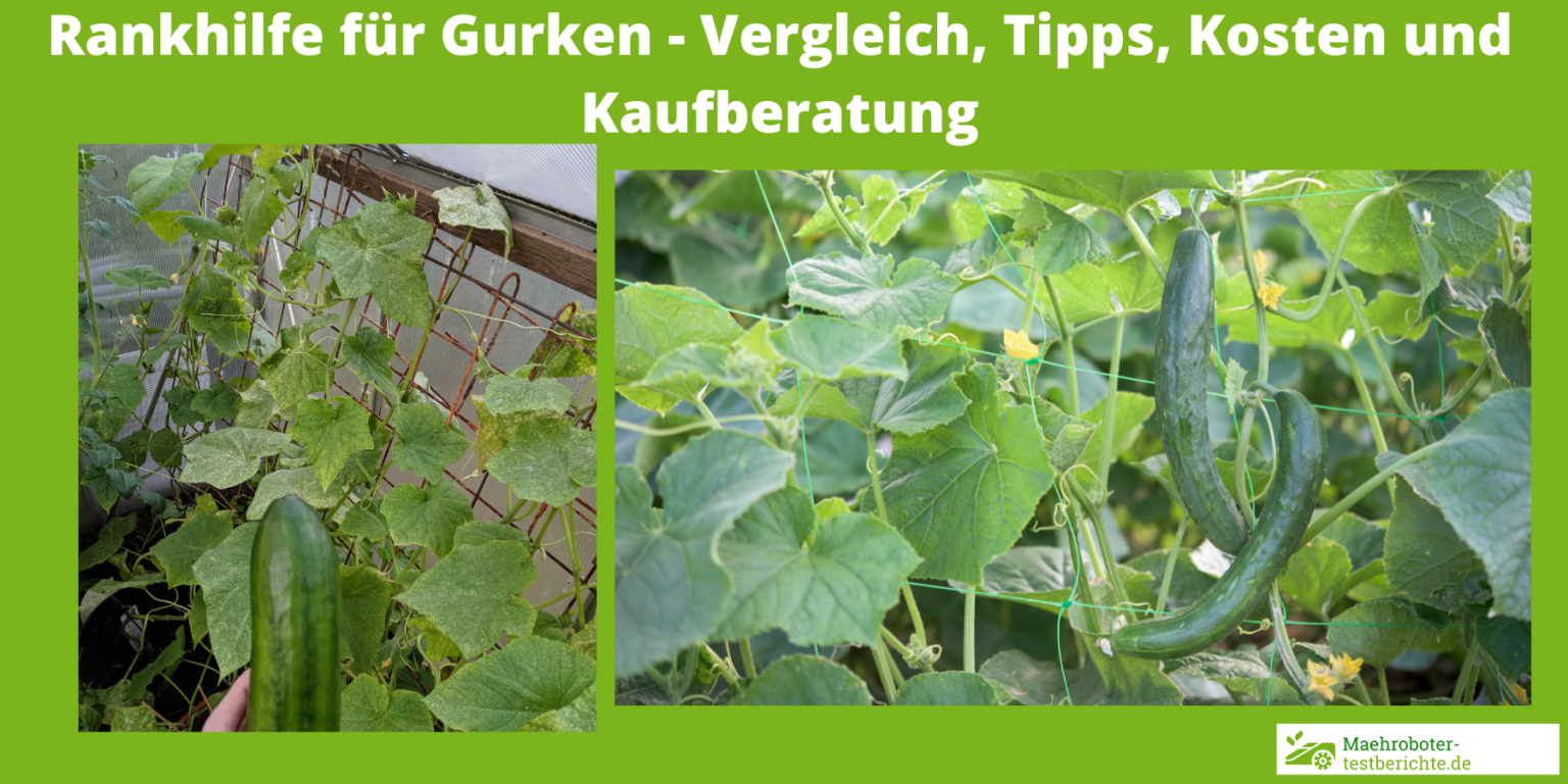 Rankhilfe Gurken für Kübel, Hochbeet, Gewächshaus und Balkon [+Tipps