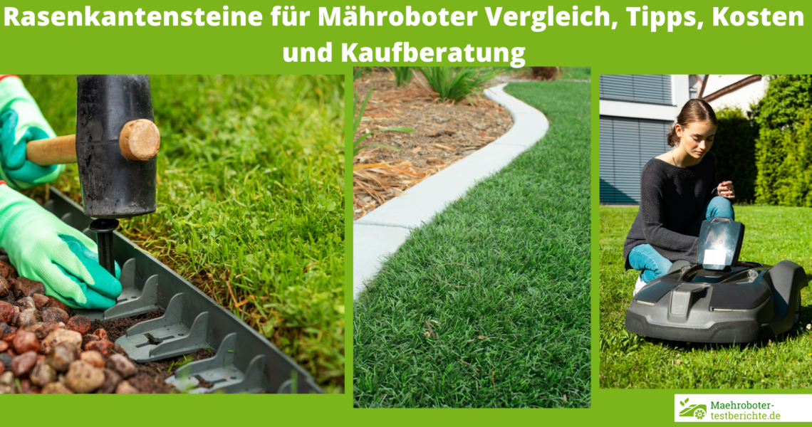 Banvel Quattro (Nachfolger Banvel M) Test, Erfahrungen, Kaufberatung