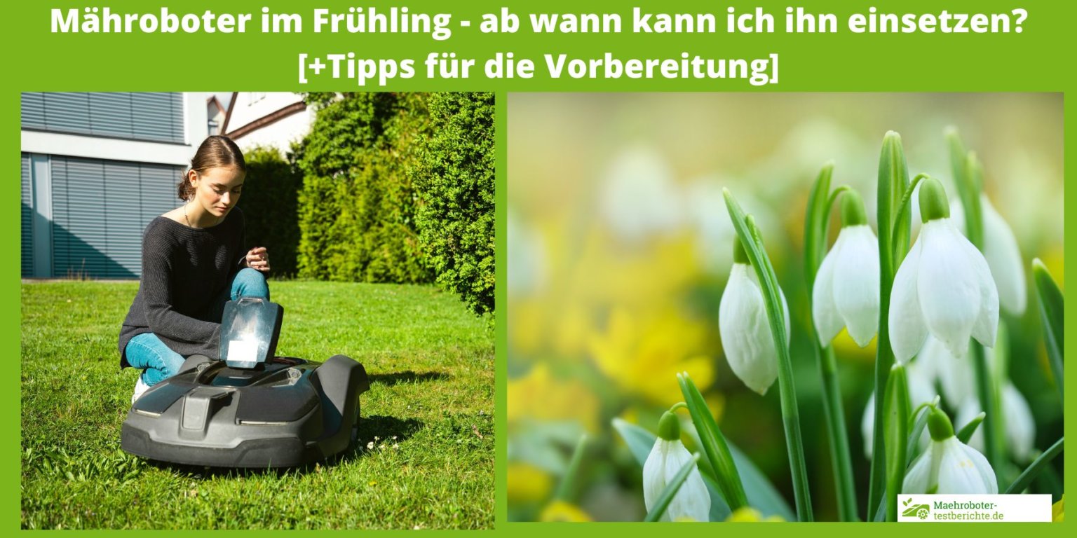 Ab wann kann ich meinen Mähroboter im Frühling einsetzen?