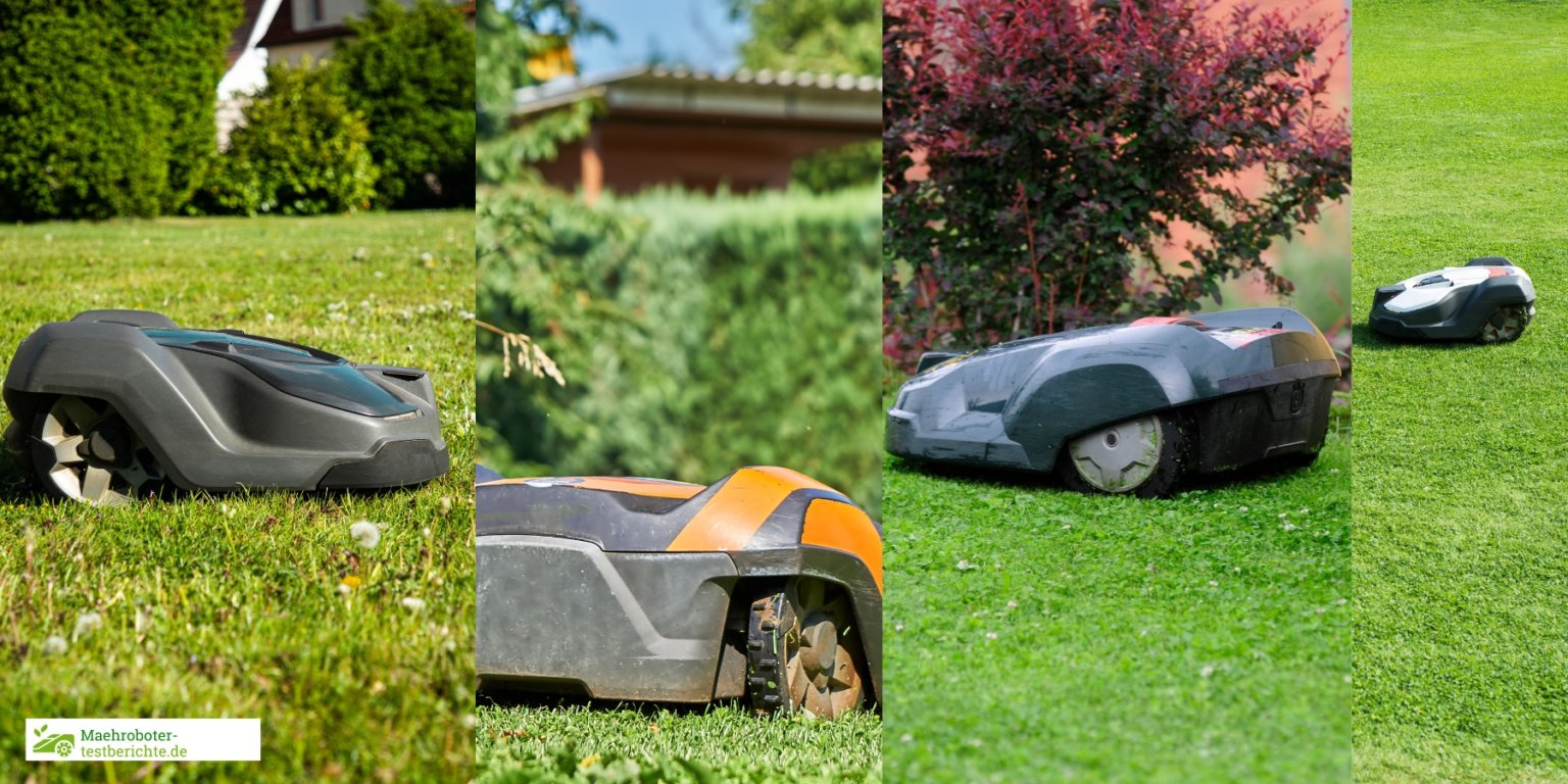 Rasenroboter Test 2023