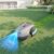 YARDCARE V100 Mähroboter ohne Begrenzungskabel Test